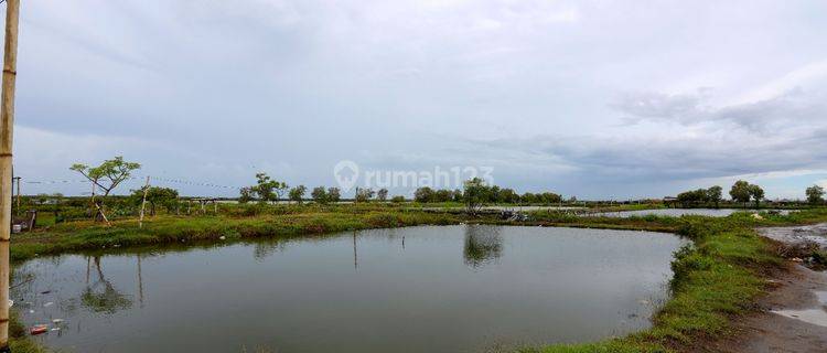 Dijual Tanah di Pamanukan, Subang 1