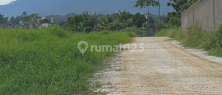 Jual Tanah di Jl. Alternatif Taman Safari Citeko 250 m² SHM 1