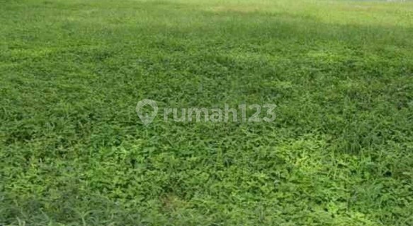 Commercial Plot Lease in Citraland West Surabaya 1
