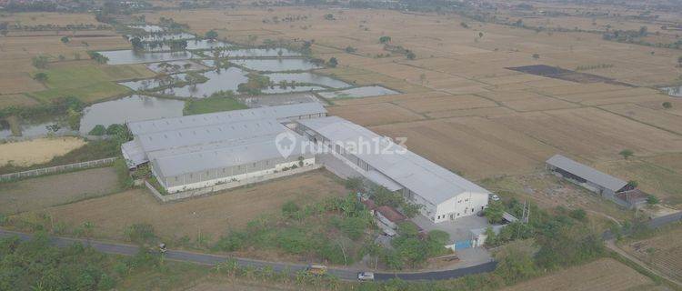 Pabrik Ex Furniture Siap Pakai. Balongpanggang. Gresik 1