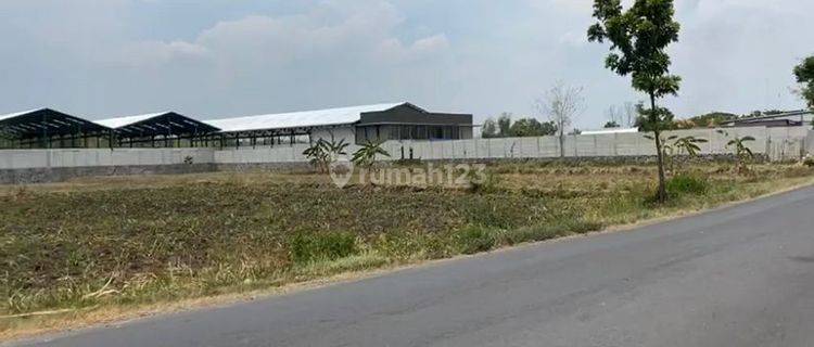 Dijual Tanah di Raya Glugu Mantup , Lamongan 1