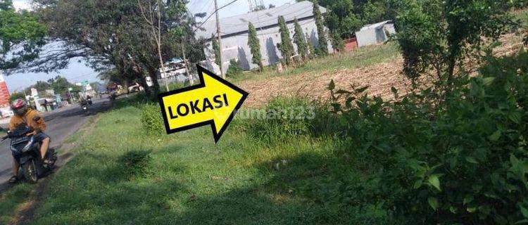 Dijual Tanah di Sidowayah, Kedunggalar, Ngawi 1