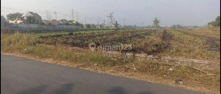 Dijual Tanah di Kedawung Wetan Kecamatan Grati, Pasuruan 1