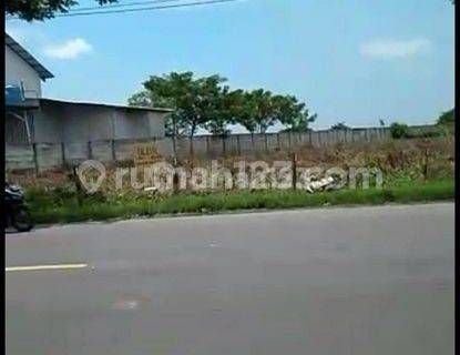 Dijual Tanah Raya Widang Tuban  1