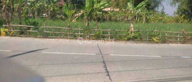 Dijual Tanah di Jl. Lettu Suyitno Kec. Trucuk, Bojonegoro 1