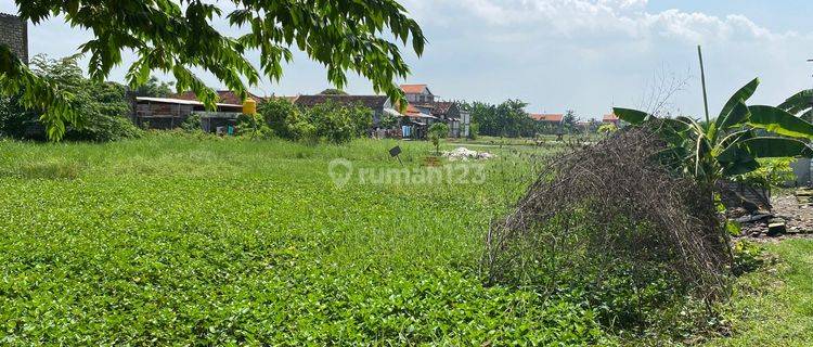 Dijual Tanah Murah Strategis di Ds Banjarsari, Cerme Gresik 1