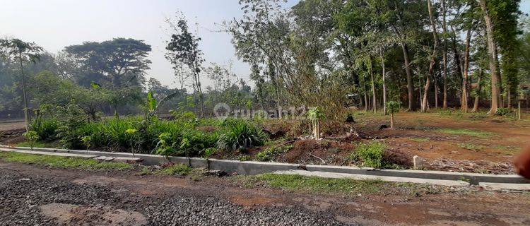 Dijual Tanah Dekat Jl Provinsi di Jetis Ponorogo Jawa Timur 1