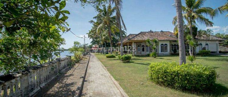 Land for sale free Villa at Lovina Beach 1