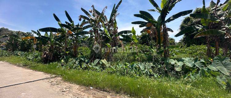 Dijual Lahan 3700m2 Jl Asnawi Arbain Beje2/ Nego.shm Sampai Deall 1