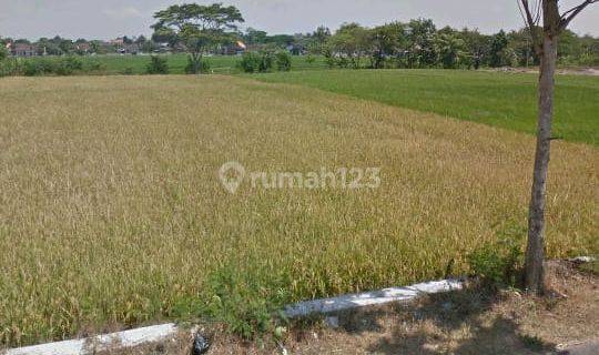 Tanah di Jl.raya Klaten Jatinom, Karanglo, Klaten Selatan, Klaten 1