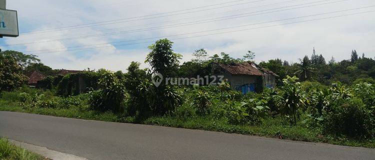 Tanah Luas Lokasi Strategis di Jalan Raya Kasongan Bantul 1