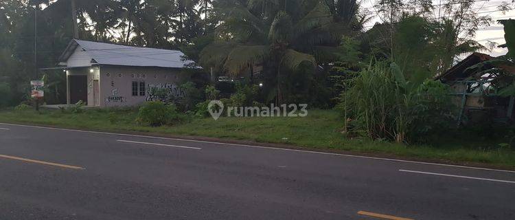 Dijual Tanah Luas, 3 Km Dari Bandara Yia, Kulonprogo, Yogyakarta 1