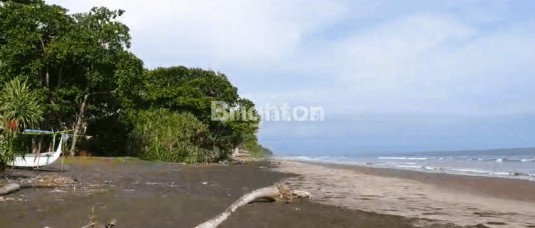 3000 MTR LAND PREMIUM BEACH LAND JEMBRANA BALI 1