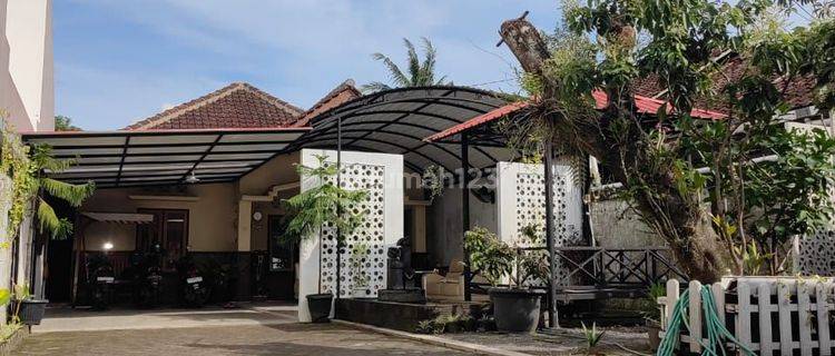 Rumah Super Luas Di Cebongan Sleman Dekat Pasar Dan Pemerintahan 1