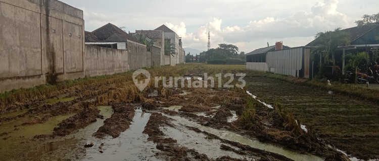 Tanah di pinggir jalan cocok untuk perumahan dan  tempat usaha 1
