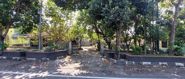 DIJUAL  TANAH  LOKASI  STRATEGIS 1