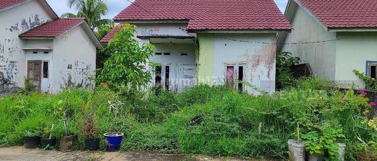 Rumah Tipe 54 Di Sungai Raya Dalam 1