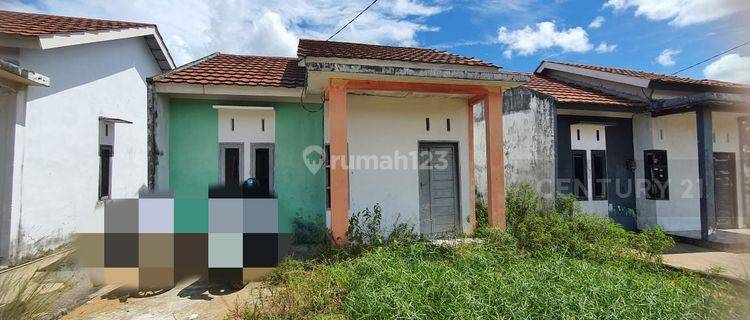 Rumah Murah Meriah Cocok Utk Keluarga Kecil 1