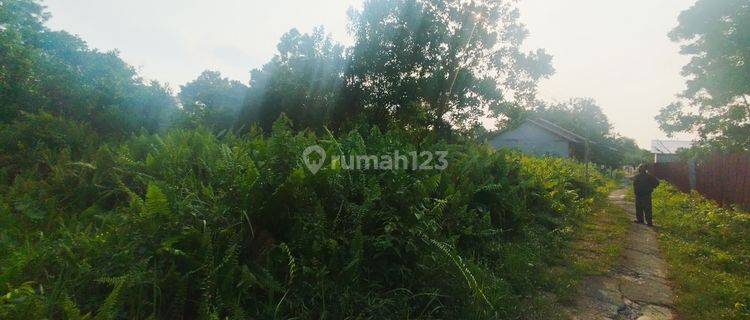 Tanah Ukuran 449M2 Lokasi Sungai Raya Dalam 1