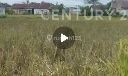 Tanah Kosong Ukuran 10 X 20 Gg. Wanara Sakti Kubu Raya 1
