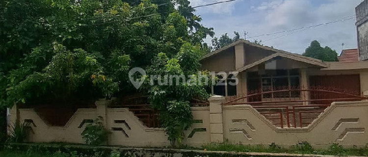 House for Rent with Bonus Large Land in South Pontianak 1