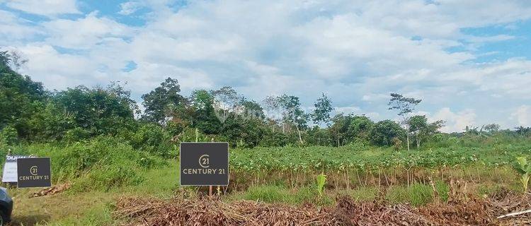 Tanah Kavling Dalam Komplek Jl. Desa Durian 176m2 1