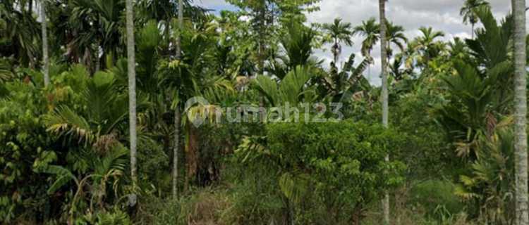 Tanah Tepi Jalan Raya Tebas - Kalbar Cocok Utk Cafe , Bgn Ruko 1