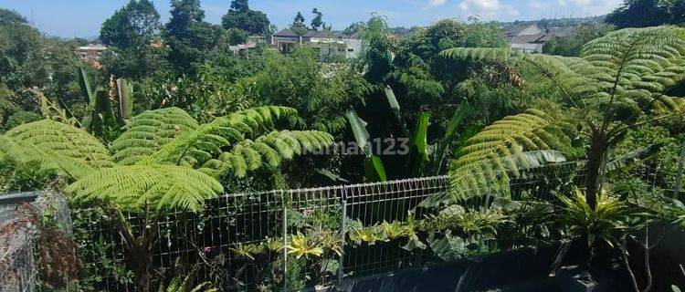 Dijual Rumah Asri Dan Nyaman + Kolam Renang Ciwaruga Bandung 1