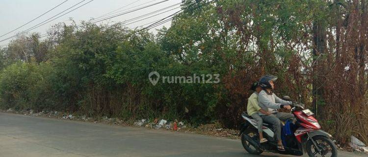 Di Jual Lahan Peruntukan Gudang Dan Pabrik Luas 3 Hektar Di Balaraja Tangerang 1