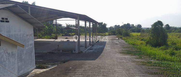 Pabrik Diserang Banten Luas 3.5 Ha Dibawah Harga Pasar Shm 1