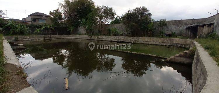 Tanah murah sudah SHM, letak strategis di kota Tasikmalaya 1