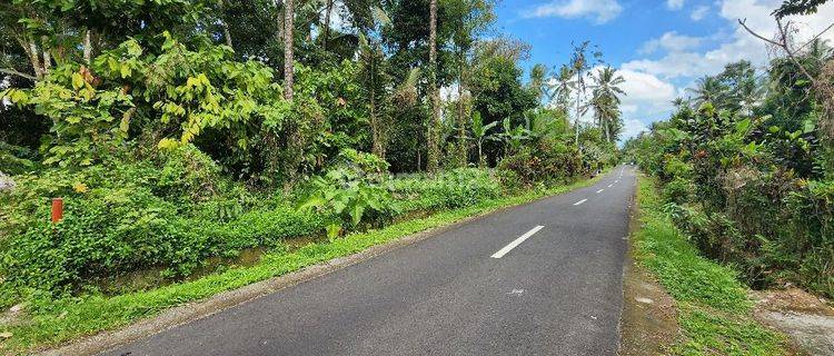 Tanah dengan mata air di Marga Tabanan Bali 1