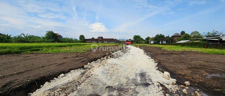 Tanah kavlin siap huni di Nyitdah Kediri Tabanan 1