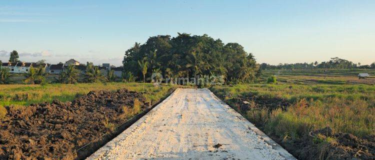 Tanah kavling murah di senampahan kediri tabanan 1