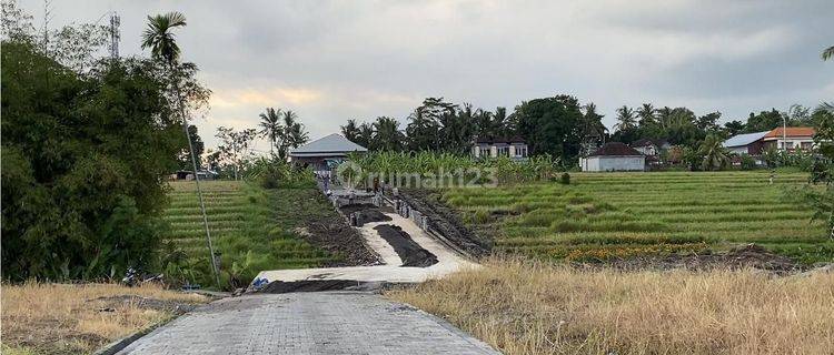 Tanah Kavling Harga Ekonomis view sawah di jalan yeh gangga gubug tabanan 1