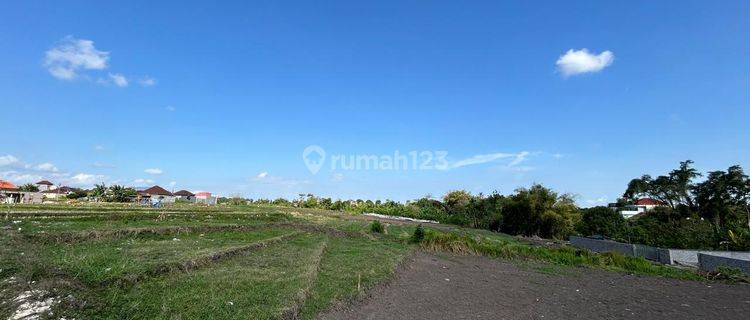 Plot of land at By Pass Ir.soekarno, Dauh Peken, Tabanan 1