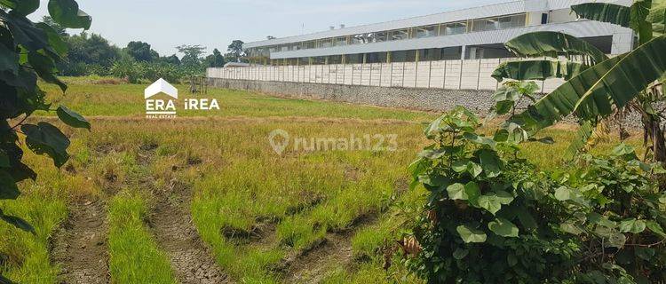 Di Jual Cepat Tanah Murah Siap Bangun Cocok Untuk Industri di Kawasan Tengah Kota Semarang 1