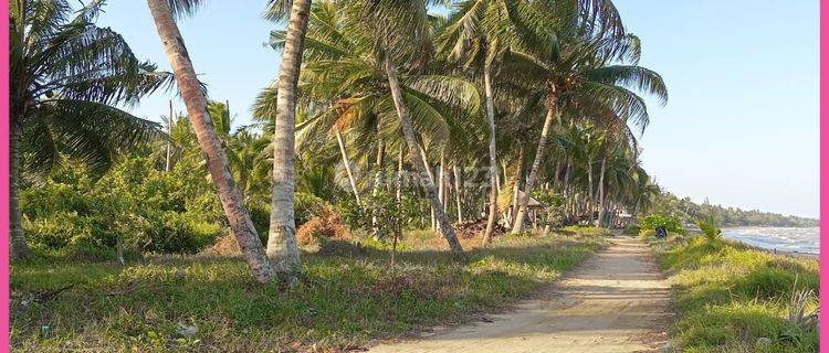 Dijual Tanah Pinggi Pantai di Tanjung Jumlai, Penajam Paser Utara 1