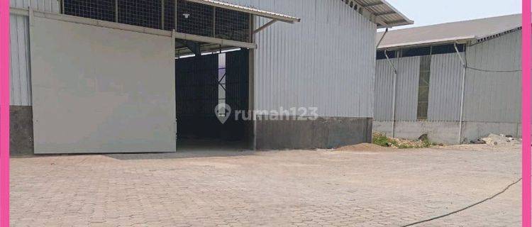 Disewakan Gudang Baru Di Ciujung Serang Banten. Min Sewa 3 Thn. 1