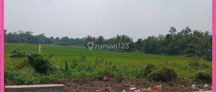 Dijual Tanah 16Ha di Kopo, Serang, Banten. Shm. Murah.  1