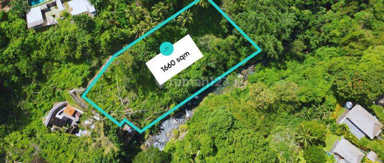 Land For Lease In Ubud 16.6 Ares With Stunning Forest And River Views 1