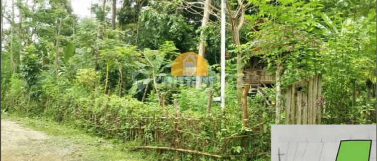 Tanah kering dekat jalan Raya, ruko dan sekolah Gondoriyo Ngalian 1