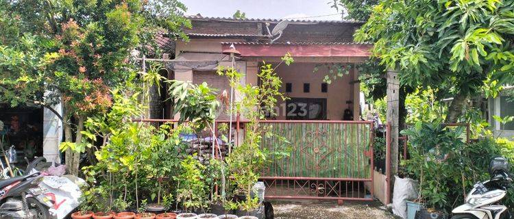 Dijual rumah cantik sederhana kebon batur mranggen selatan semarang 1