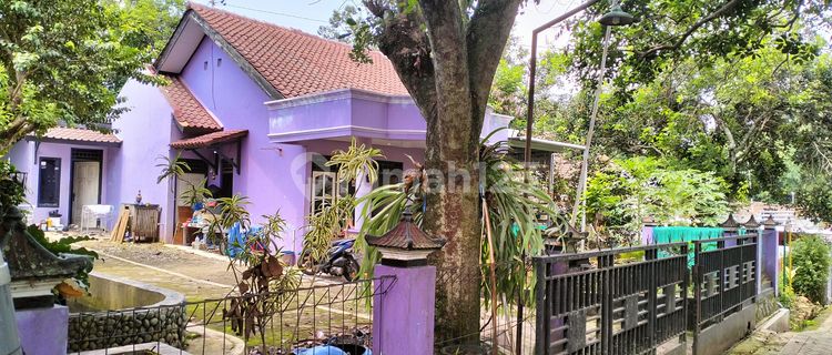 Dijual rumah asri dan nyaman satu lantai Ngadirejo Mijen 1