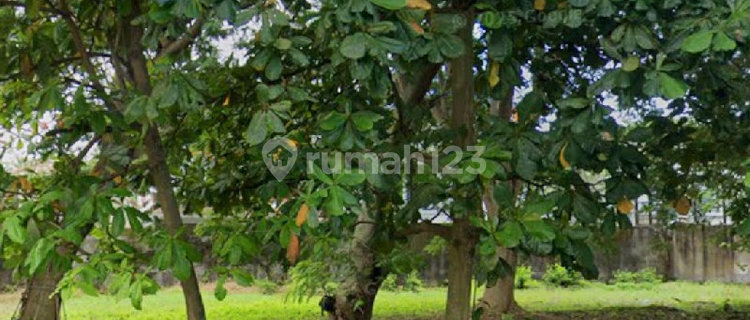 Peluang Emas, Tanah Di Padma Boulevard Utara, Area Hunian Premium 1