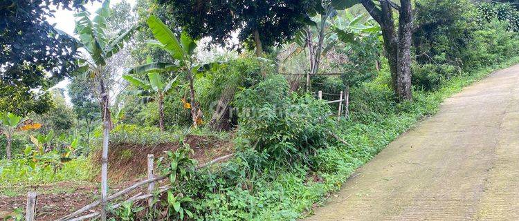 Tanah Dijual Cijeruk Hak Milik Best View  1