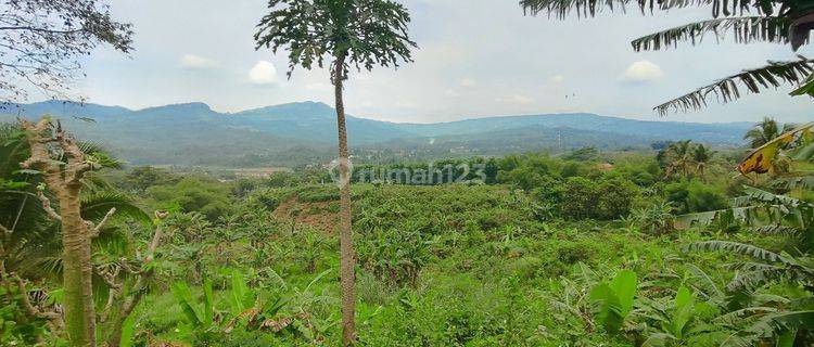 Tanah Murah Dijual Bogor Lokasi Pinggir jalan 1