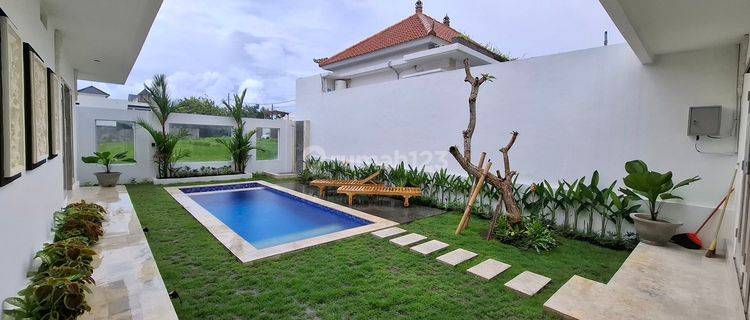 Brand New Villa For Rent Berawa Area 1