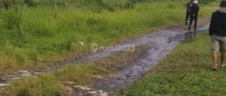 Cocok buat perumahan atau condotel atau cotat atau tempat wisata 1