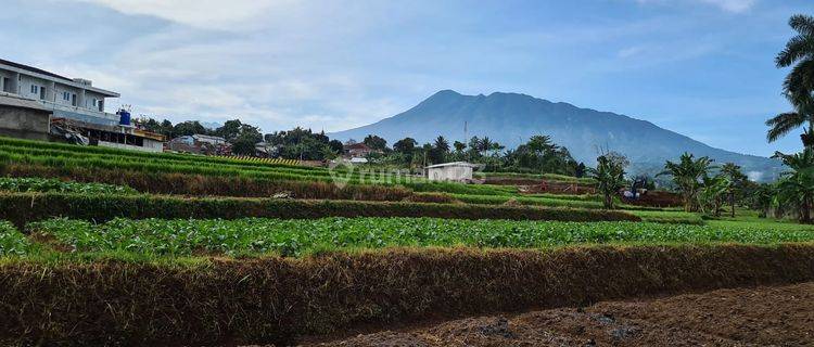 Cocok Buat Hotel Atau Kos Kosan Samping Diklat Ma 1